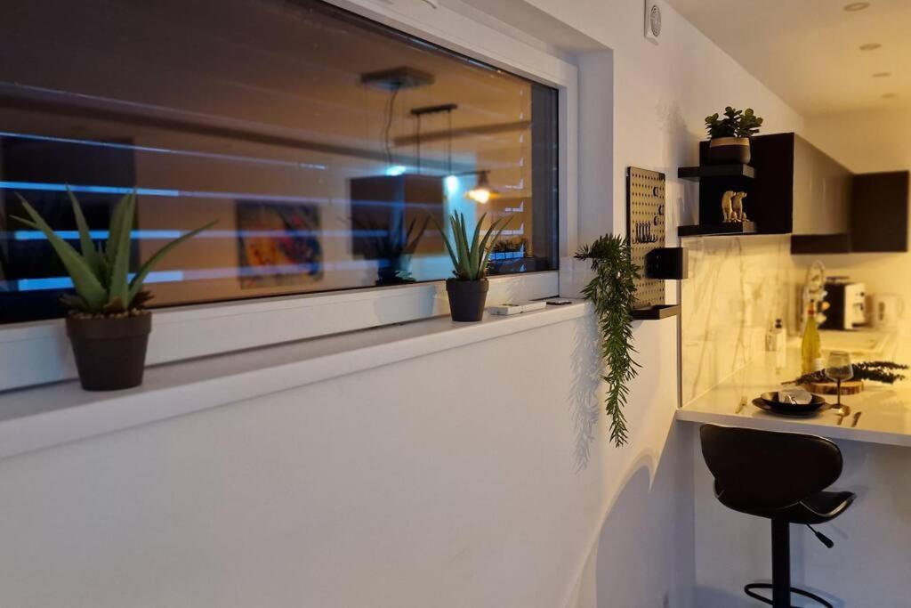 Suite Prestige Logement Neuf Avec Spa Et Ecran De Cinema En Rez De Jardin Colmar Eksteriør billede