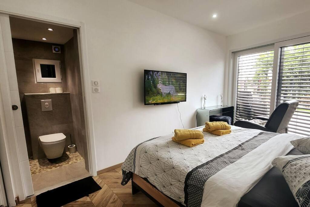 Suite Prestige Logement Neuf Avec Spa Et Ecran De Cinema En Rez De Jardin Colmar Eksteriør billede