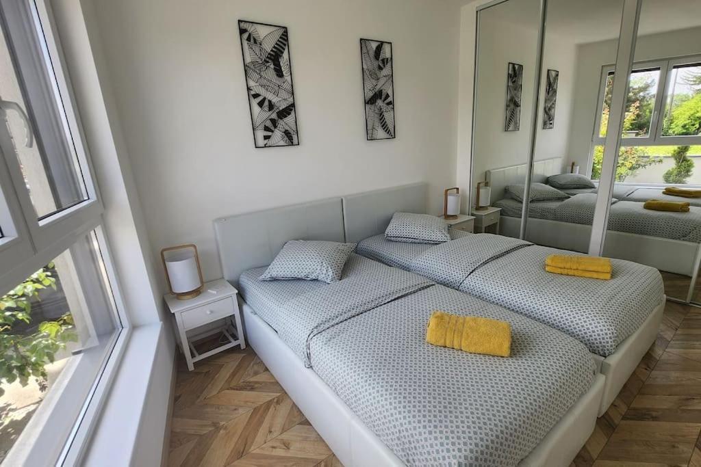 Suite Prestige Logement Neuf Avec Spa Et Ecran De Cinema En Rez De Jardin Colmar Eksteriør billede