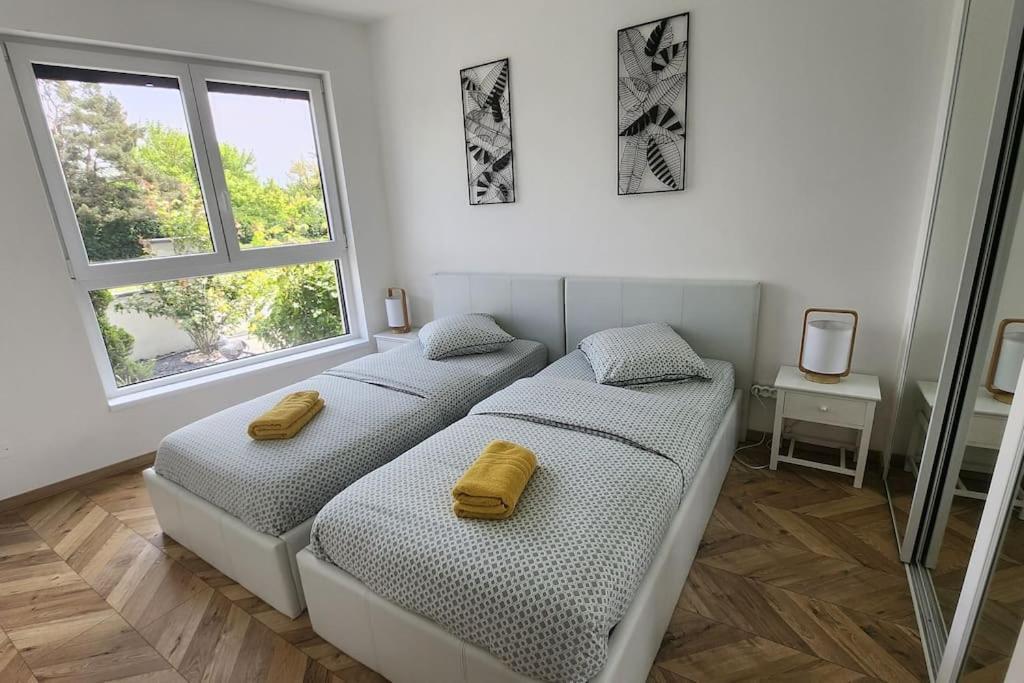 Suite Prestige Logement Neuf Avec Spa Et Ecran De Cinema En Rez De Jardin Colmar Eksteriør billede